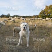 Istockphoto 885617362 2048x2048